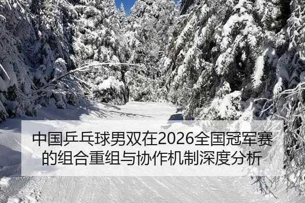 中国乒乓球男双在2026全国冠军赛的组合重组与协作机制深度分析